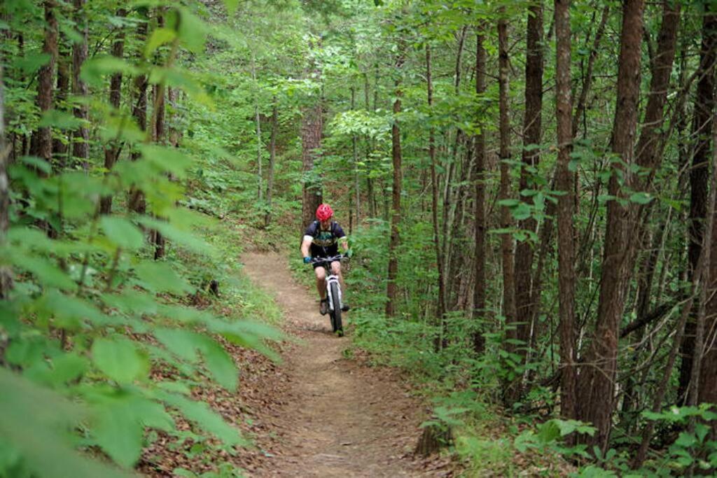 ブライソン・シティ Honeymoon Getaway In Woods Near Noc And Smoky Mtn Rrヴィラ エクステリア 写真